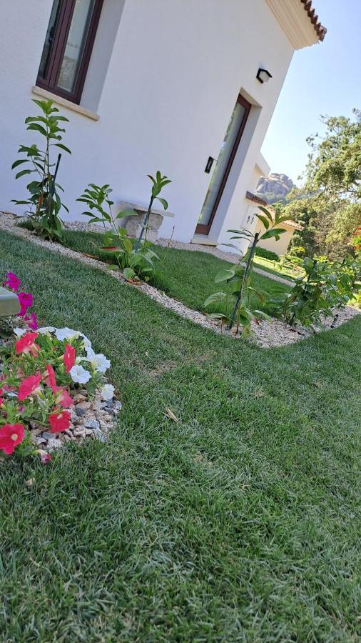 B&B La Chintina Sant'Antonio di Gallura Dış mekan fotoğraf